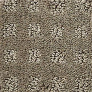 Shaw Floors Nottingham Soft Clay SHAW