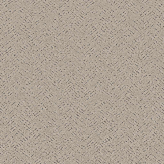 Shaw Floors Favoured Path Warm Light SHAW