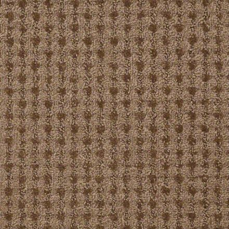 Philadelphia Commercial Metro Life Walking Tour Shaw