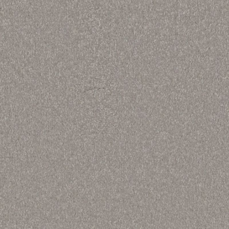 Shaw Floors Awaken Spirit II 12' Subtle Touch SHAW