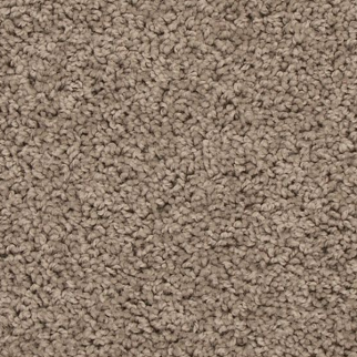 Mohawk Carpet Revive Dock Mohawk