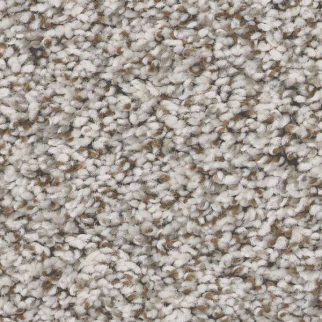 Shaw Floors Feelin' Alright Buff SHAW