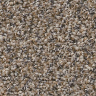 Shaw Floors Always Right II Goose Feather SHAW