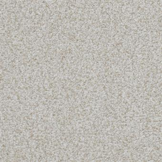 Masland Carpets Boca Raton Insistent Masland