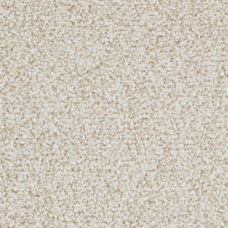 Masland Carpets St Augustine Insistent Masland