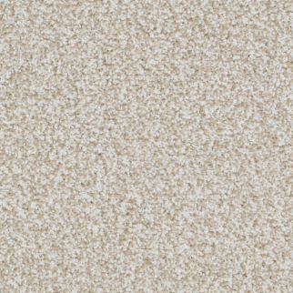 Masland Carpets Sunset Key Insistent Masland