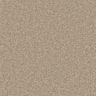 Shaw Floors High Ranking TNL Sunlit SHAW