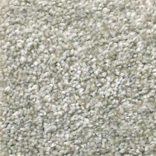 Shaw Floors Attainable Soft Fleece SHAW