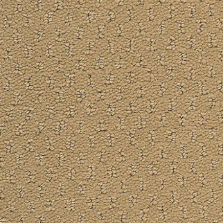 Aladdin Commercial Classic Update Adobe Sand Mohawk