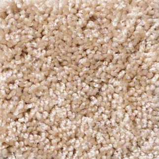 Shaw Floors Dreamin 12' Quiet Splendor SHAW