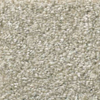 Shaw Floors Attainable Desert Light SHAW