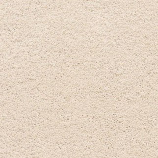 Masland Carpets Ravishing Beautiful Masland