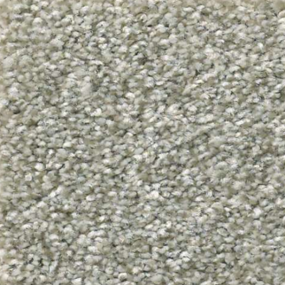 Shaw Floors Attainable Clay SHAW