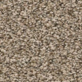 Shaw Floors Feelin' Alright Blond Wood SHAW