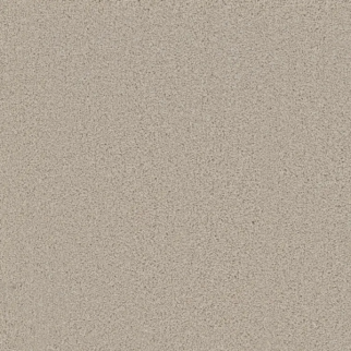 Phenix Carpets Achieve Reach PHENIX