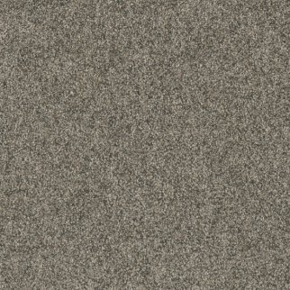 Dreamweaver Carpet Astounding I Rockwell DREAMWEAVER