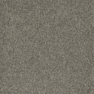 Dreamweaver Carpet Astounding III Rockwell DREAMWEAVER