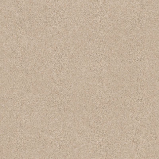 Shaw Floors Your Comfort II Happy Place SHAW