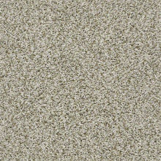 Shaw Floors Break Away (T) Stepping Stone SHAW