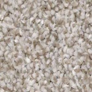 Shaw Floors Make It Mine I Winter Dunes SHAW