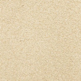 Masland Carpets This and That Boucle' Masland