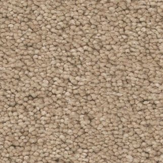 Tuftex Elegant Beauty Brulee SHAW