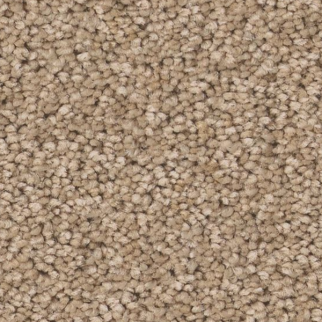 Tuftex Enduring Charm Brulee SHAW