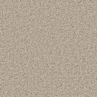 Shaw Floors High Ranking TNL Aura SHAW