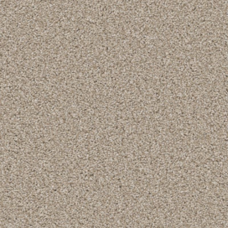 Shaw Floors High Ranking TNL Ever After SHAW