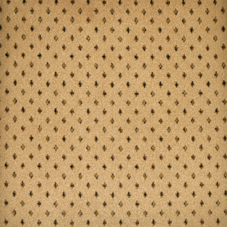 Kane Carpet Nostalgia New Beginnings KANE