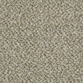 Shaw Floors Break Away (B) Canvas SHAW