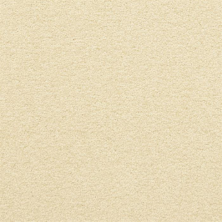 Masland Carpets Patriot Simplify Masland