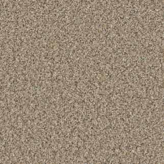 Shaw Floors High Ranking B Spirit SHAW