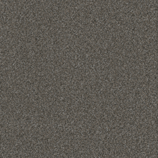 Dreamweaver Carpet Titan II Pinehurst DREAMWEAVER