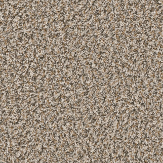 Shaw Floors QS850 Sugar Cookie SHAW