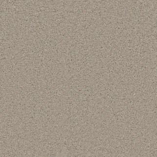 Phenix Carpets Achieve Beyond PHENIX