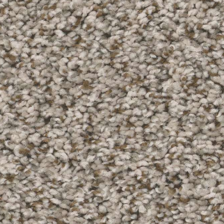 Shaw Floors Feelin' Alright Stepping Stone SHAW