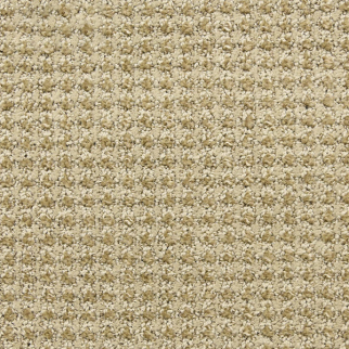 Masland Carpets Alpha Volts Masland