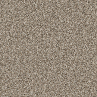 Shaw Floors High Ranking B Dockside SHAW