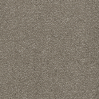 Tarkett Home Carpets Serenade Dove LEXMARK