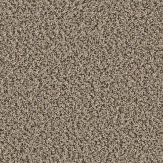 Shaw Floors High Ranking B Escape SHAW