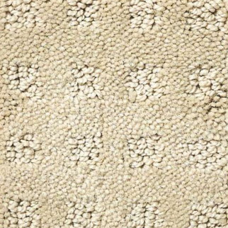 Shaw Floors Nottingham Honeycomb SHAW