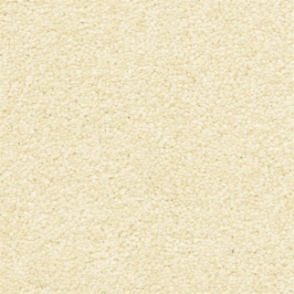 Masland Carpets Morgan Bay Bavarian Cream Masland