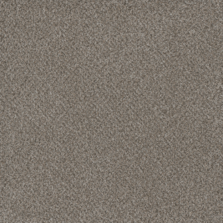 Dreamweaver Carpet Titan I Oakland DREAMWEAVER