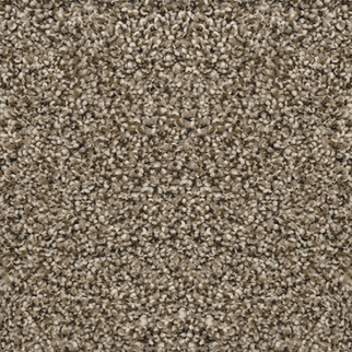 Revolution Mills Venice Mountain View