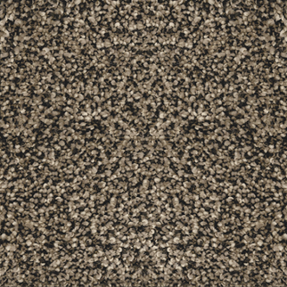 Revolution Mills Venice Bark