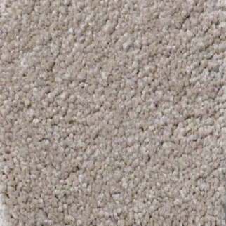 Shaw Floors Magic At Last IV 12' Balanced Beige SHAW