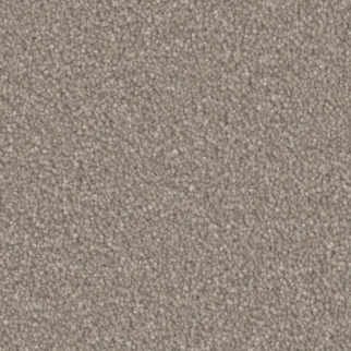 Phenix Carpets Oasis Platinum Fossil PHENIX