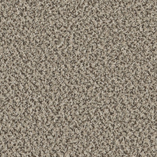 Shaw Floors High Ranking B Point Beach SHAW