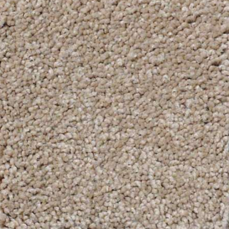 Shaw Floors Magic At Last III 15' Shell SHAW